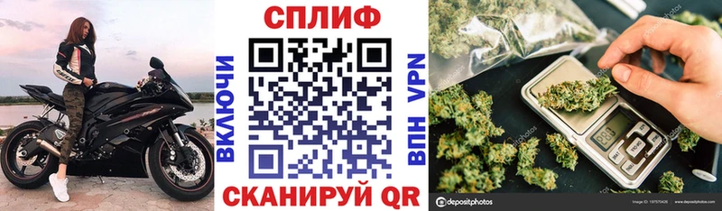 Купить наркотики сайты Мурино Галлюциногенные грибы  КОКАИН  Alpha PVP  Меф  ГАШ 