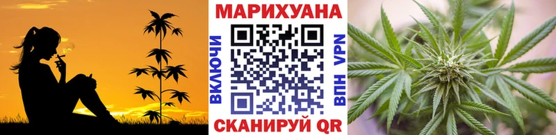 купить наркотики цена  Мурино  Бошки марихуана Ganja 